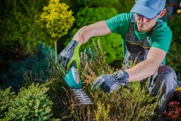 landscaping services North Plymouth
